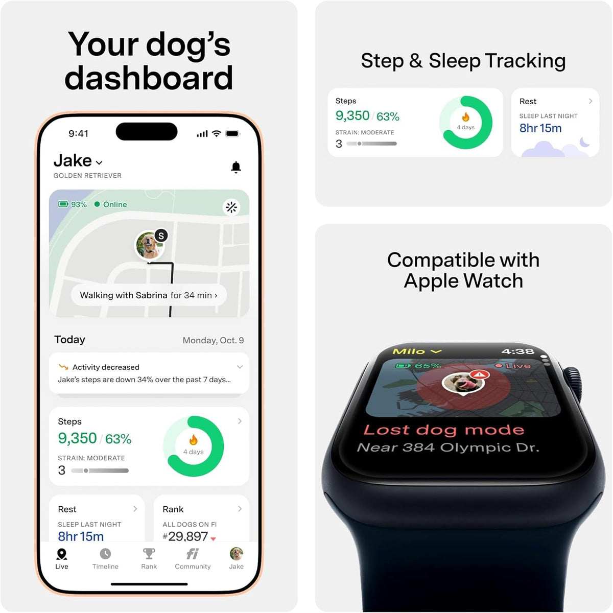 Fi Series 3+ GPS Dog Collar — 6-Month Membership Included