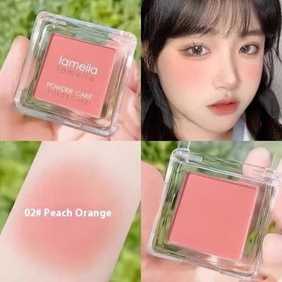 Natural Nude Blush Powder – Monochrome Matte Makeup Blusher