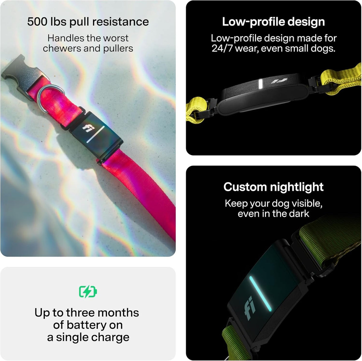 Fi Series 3+ GPS Dog Collar — 6-Month Membership Included