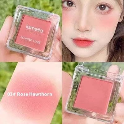 Natural Nude Blush Powder – Monochrome Matte Makeup Blusher